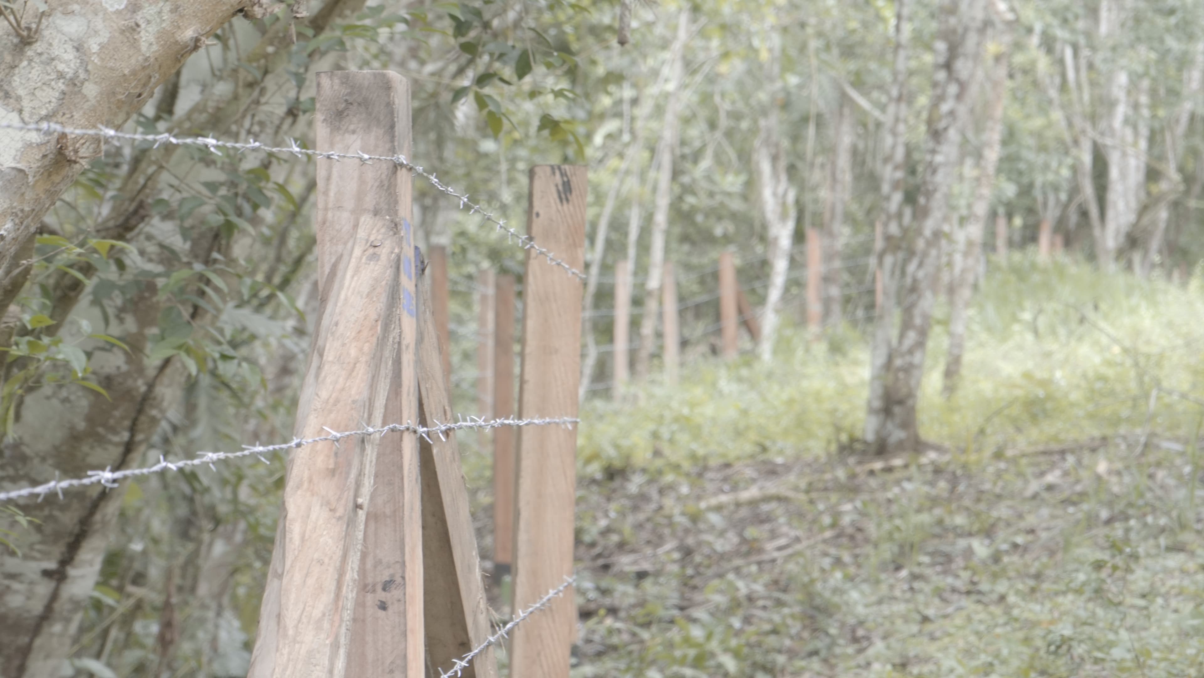 Gestión Comunitaria del Agua - CVC 003