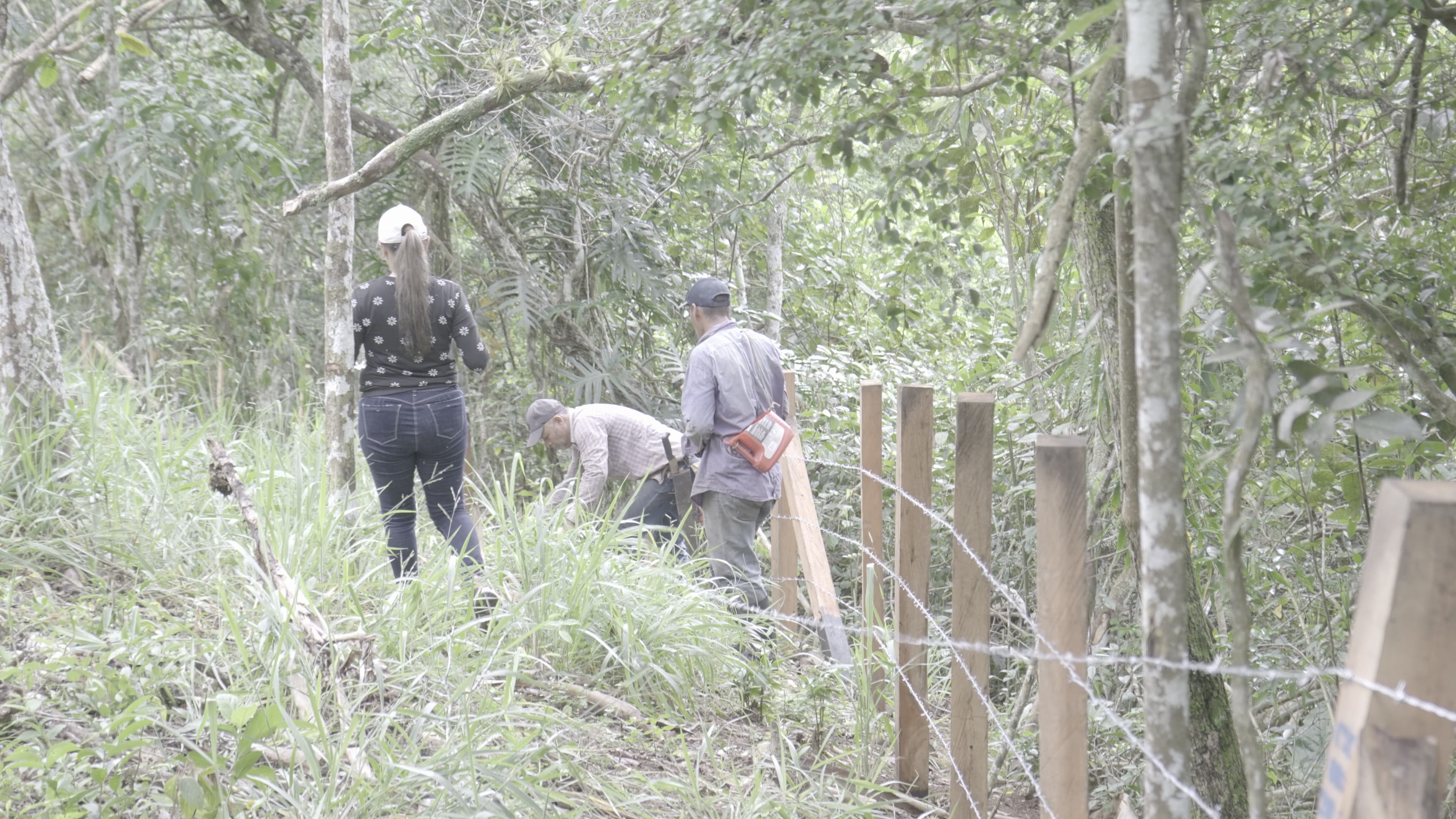 Gestión Comunitaria del Agua - CVC 003