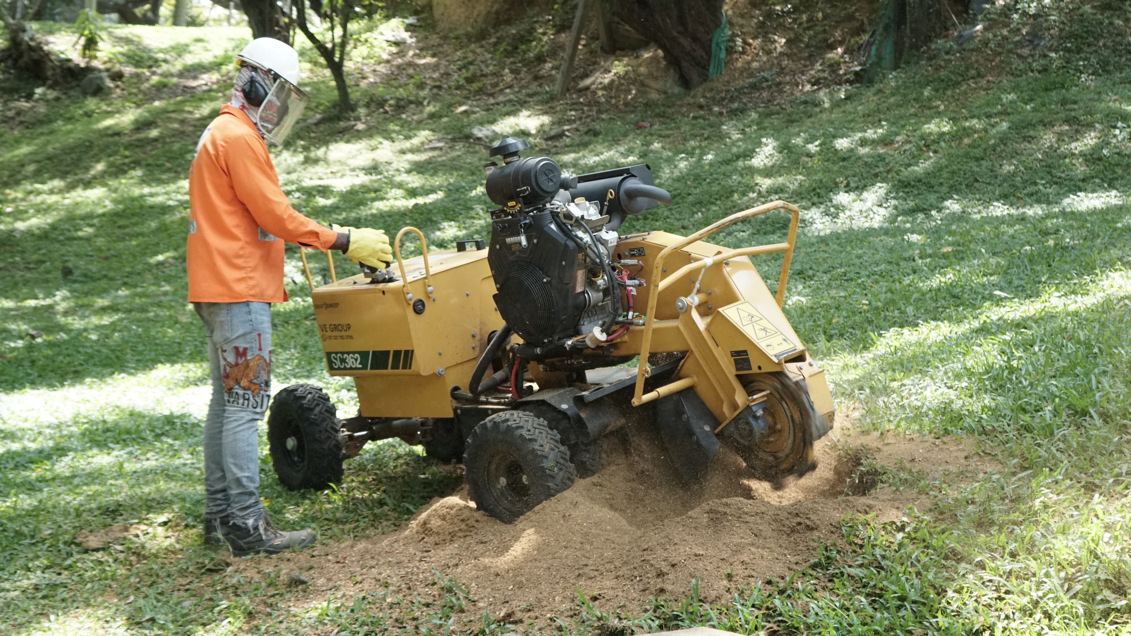 Extracción de tocones en espacio público