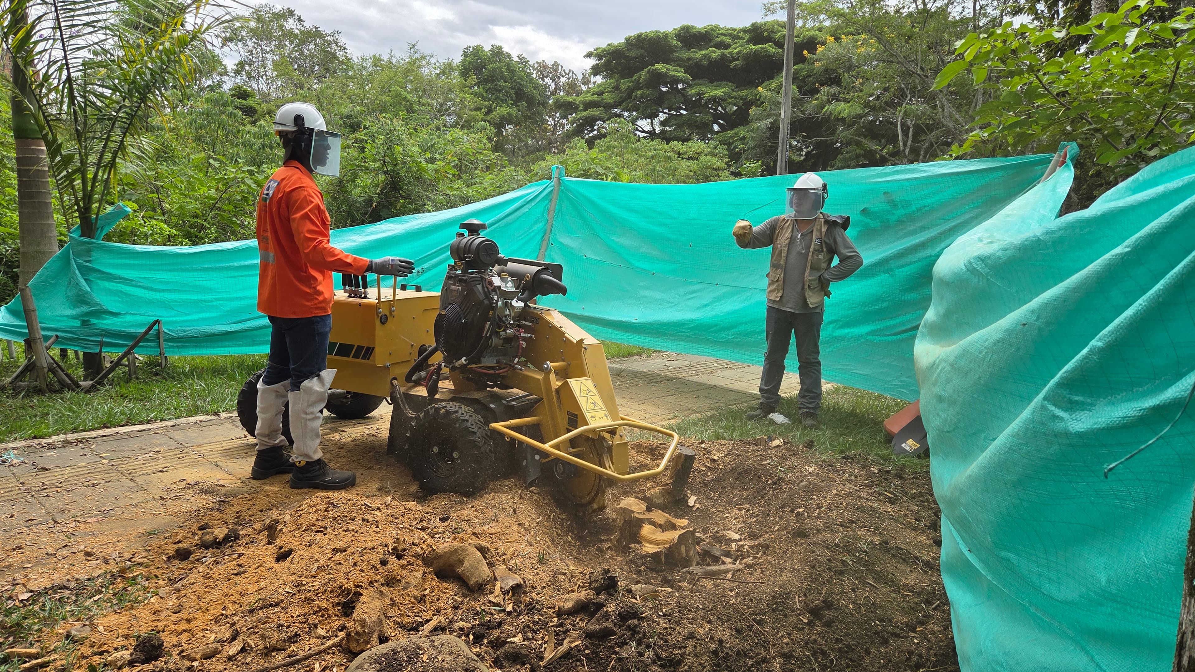 Extracción de tocones en espacio público