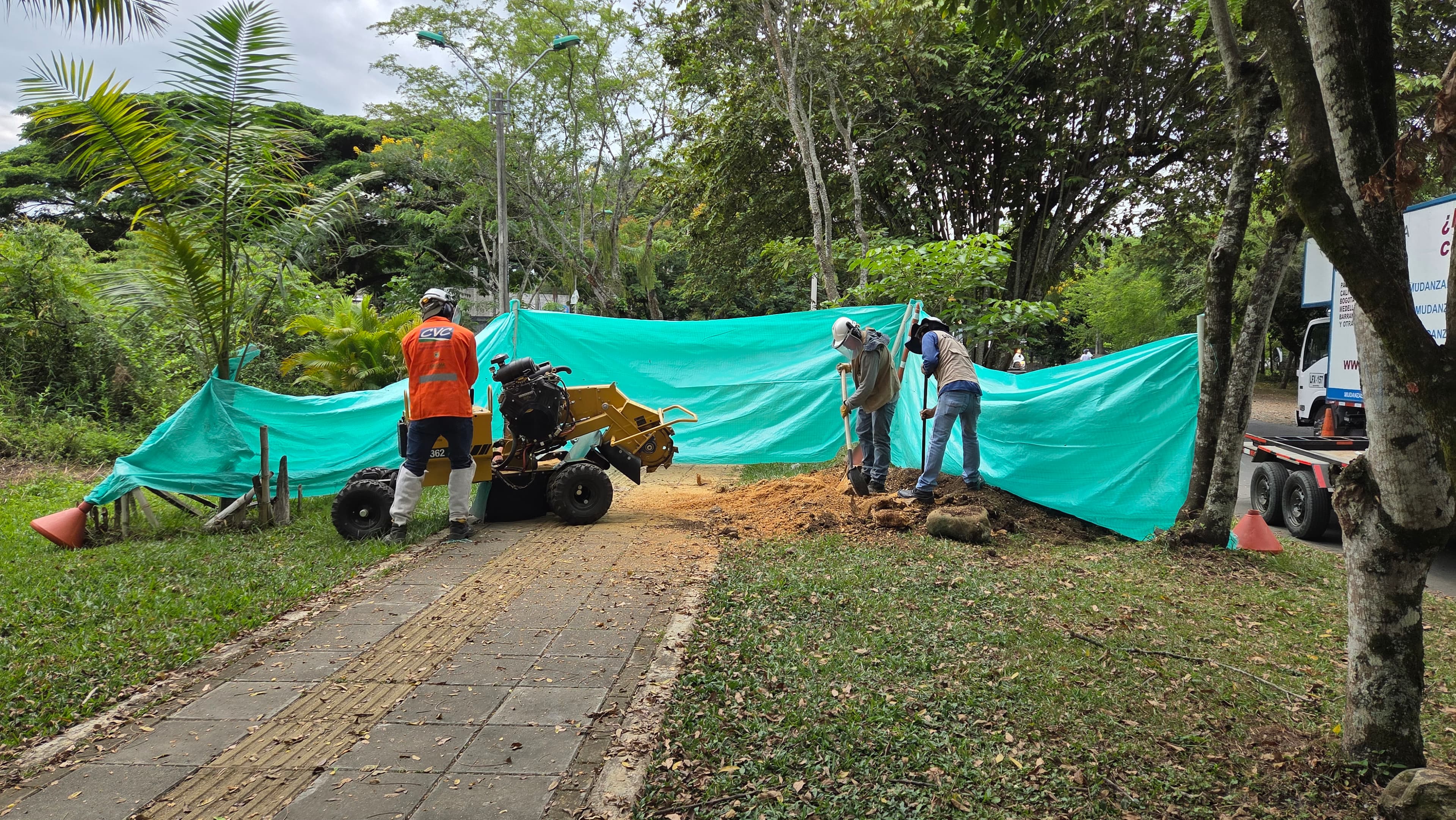 Extracción de tocones en espacio público