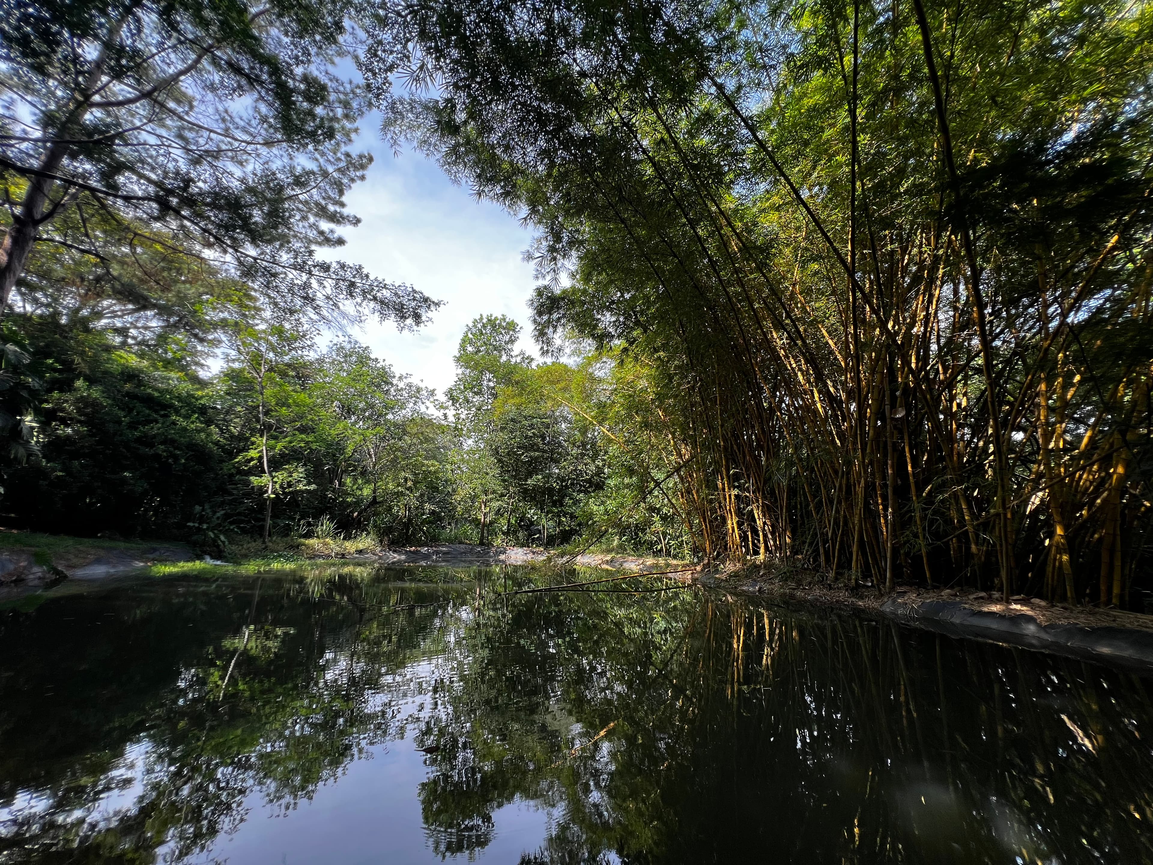 Recuperación de humedales urbanos en Cali