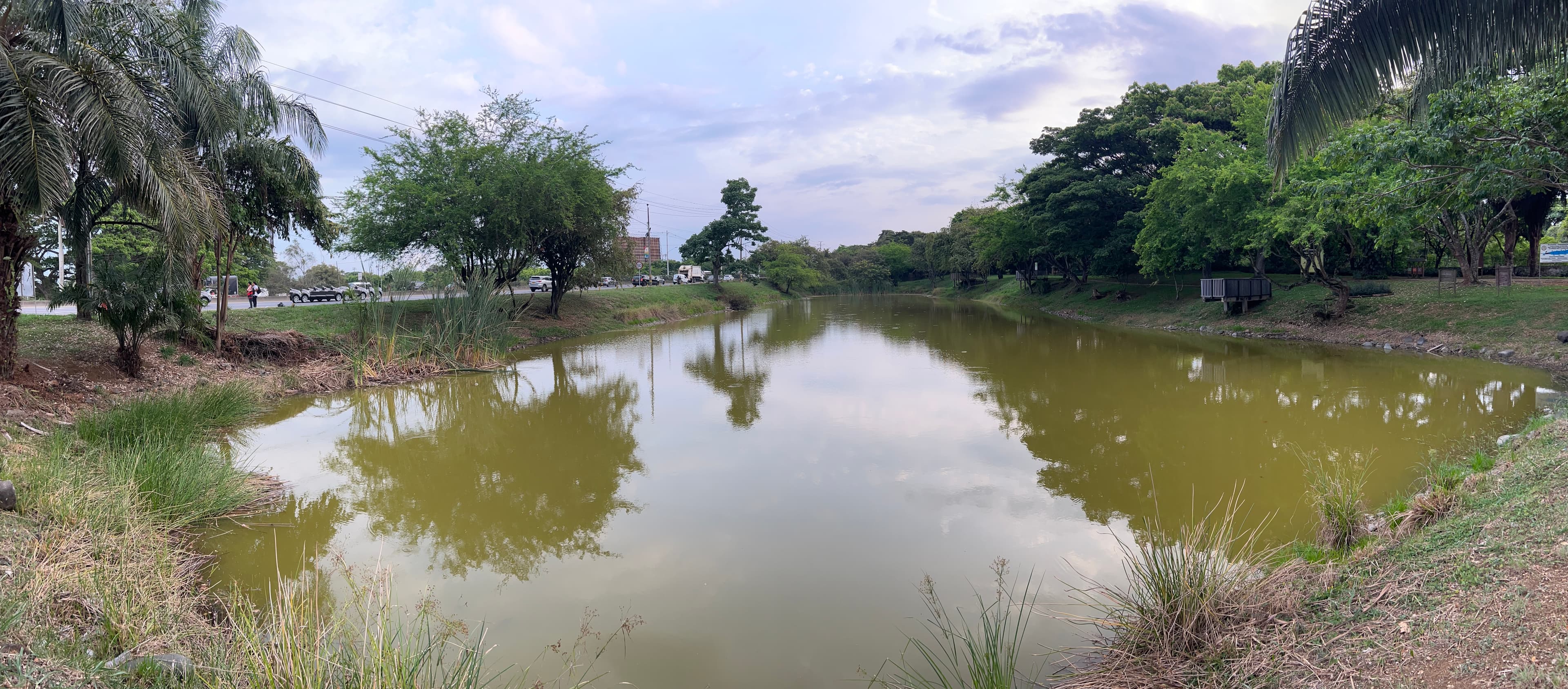 Recuperación de humedales urbanos en Cali