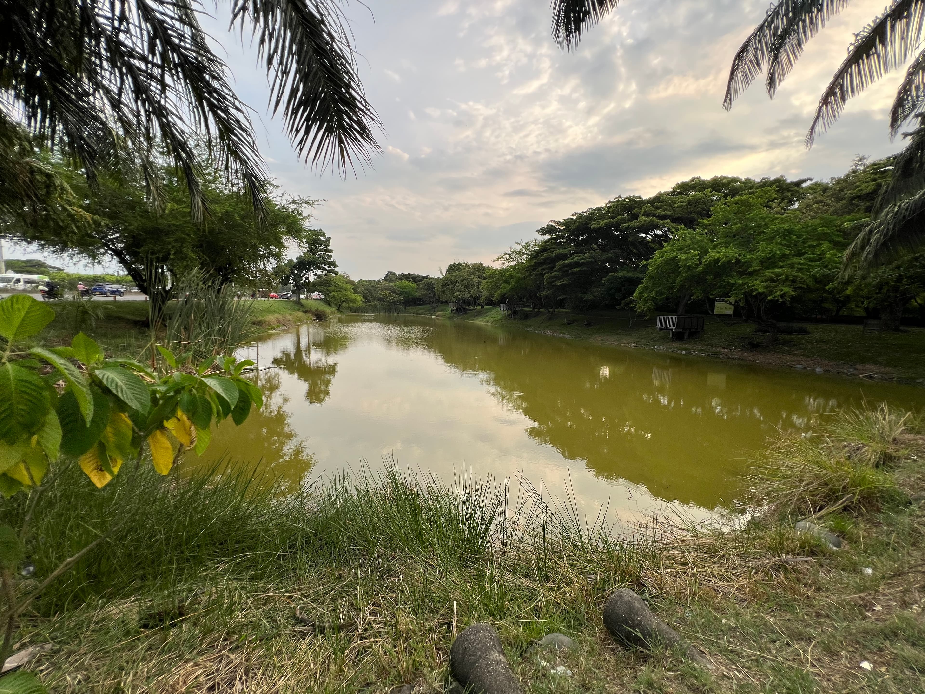 Recuperación de humedales urbanos en Cali